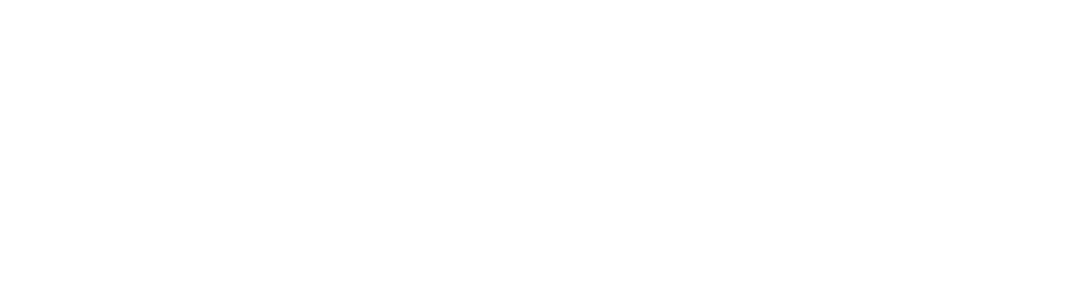 Volkswagen Group Maroc