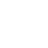 VW Utilitaires